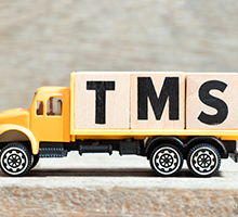 camion tms