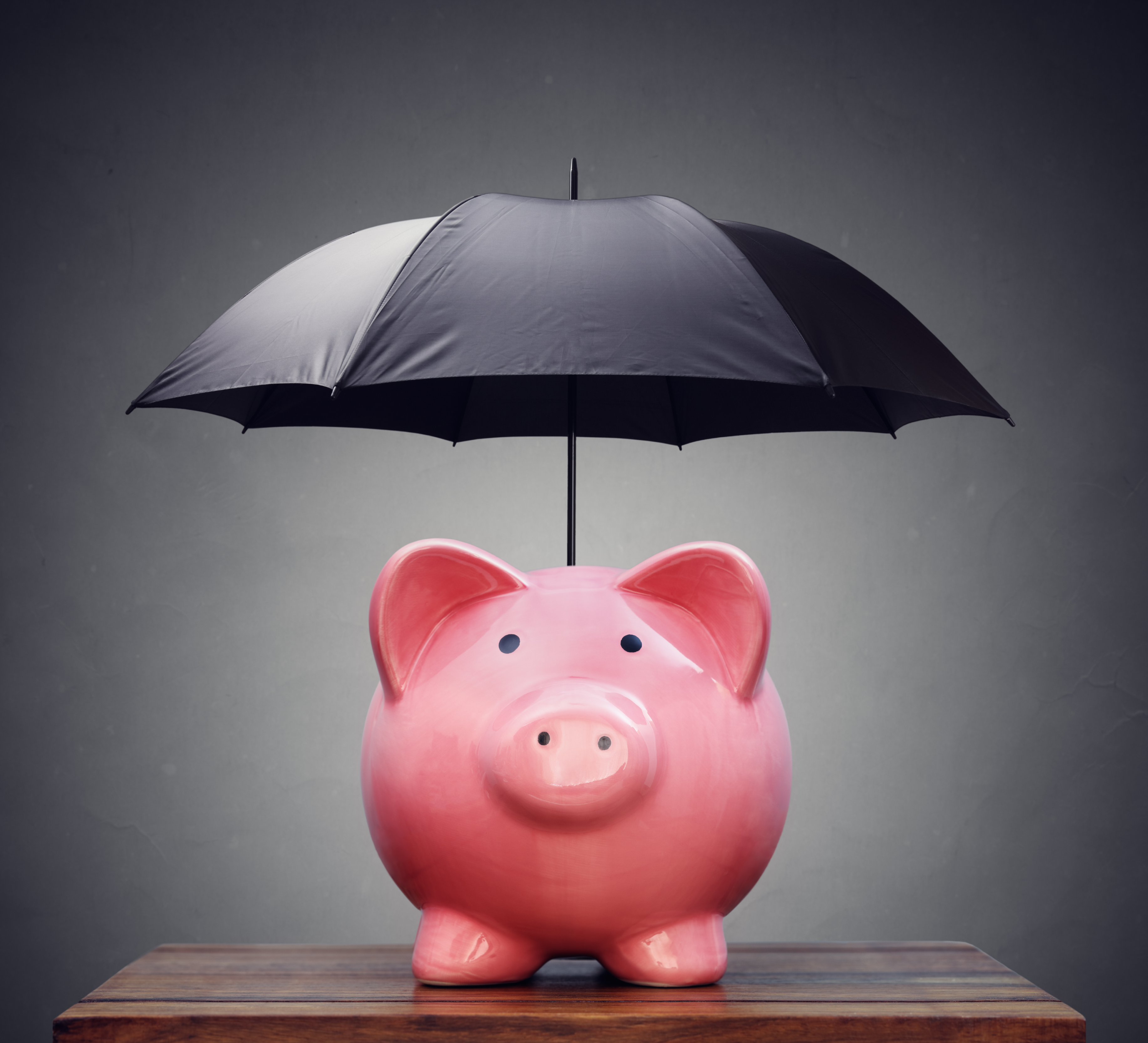 cochon parapluie