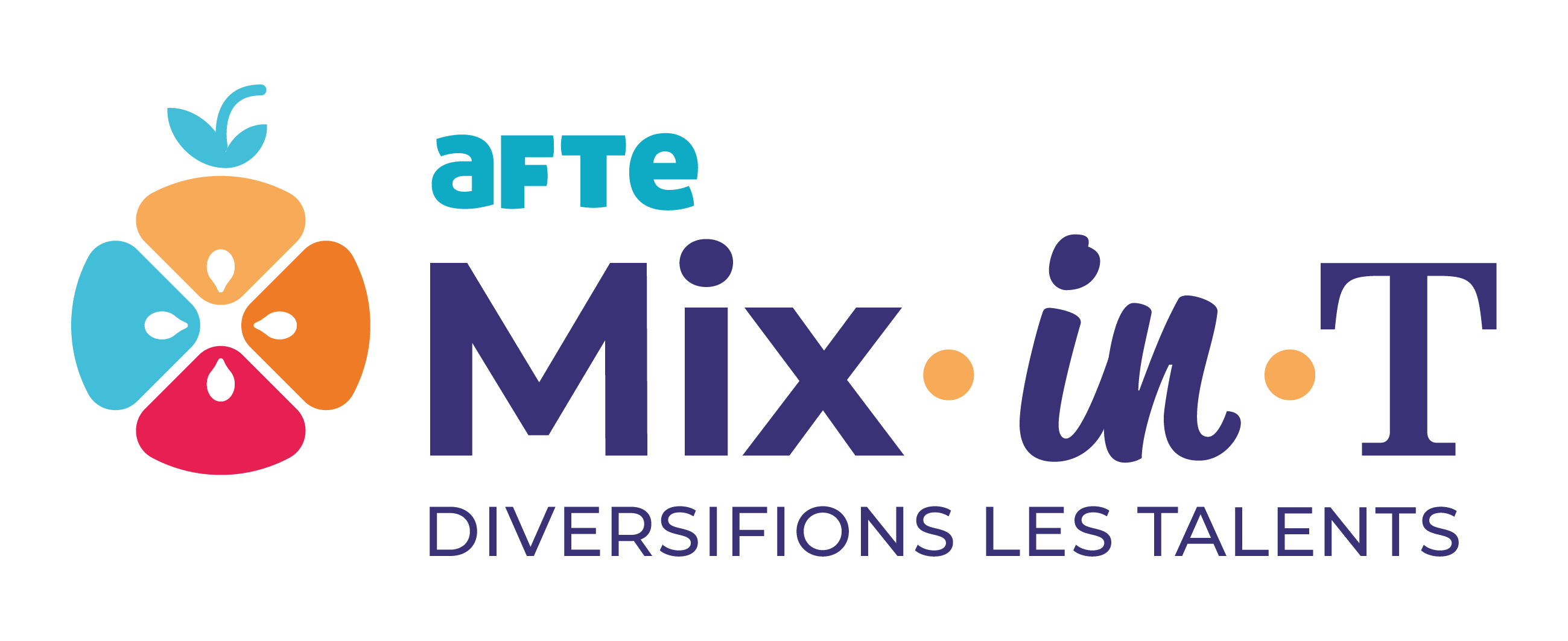 Réseau Mix.In.T AFTE