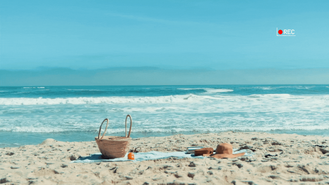Pause estivale pour la newsletter Agenda de l'AFTE