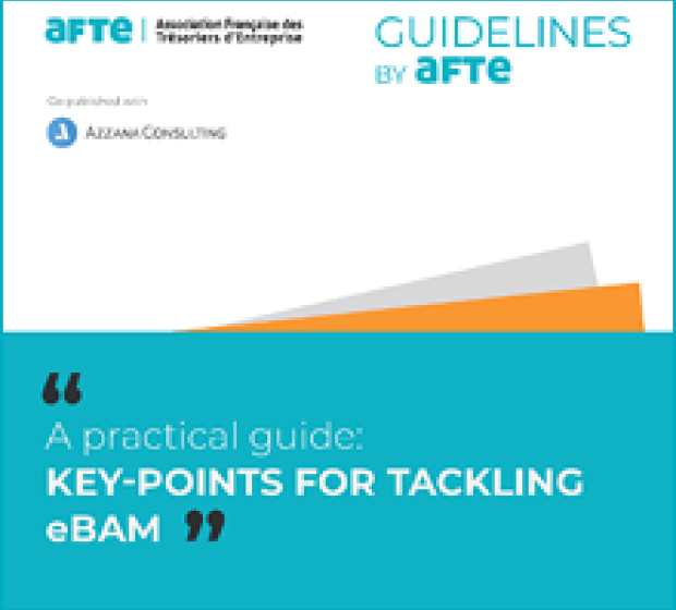 Guide eBAM en anglais : Key Points for tackling eBAM