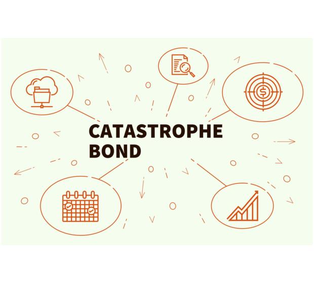 Les cats bonds, une classe d'actif pour faire face à la tempête