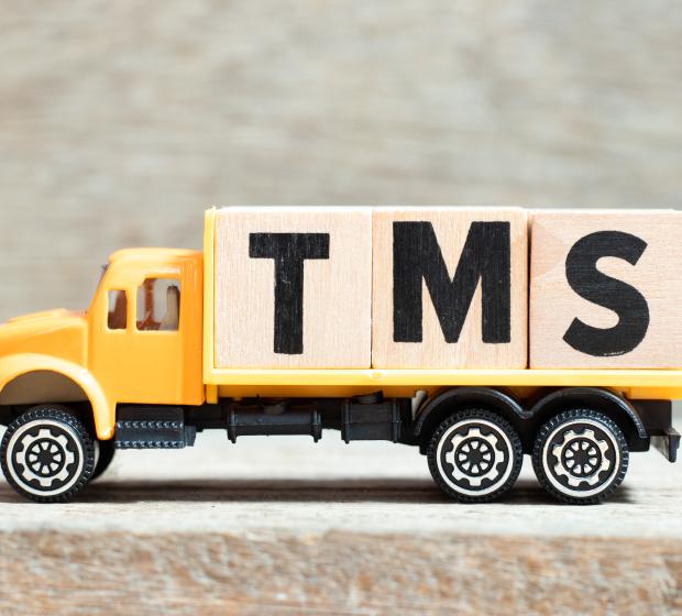 TMS & trésorerie : quels gains pour le cash et la sécurité ?