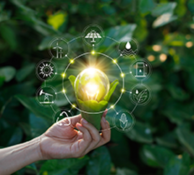 Sustainability-Linked Bond Principles - Voluntary Process Guidelines