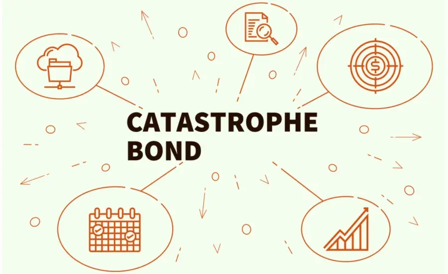 Les cats bonds, une classe d'actif pour faire face à la tempête