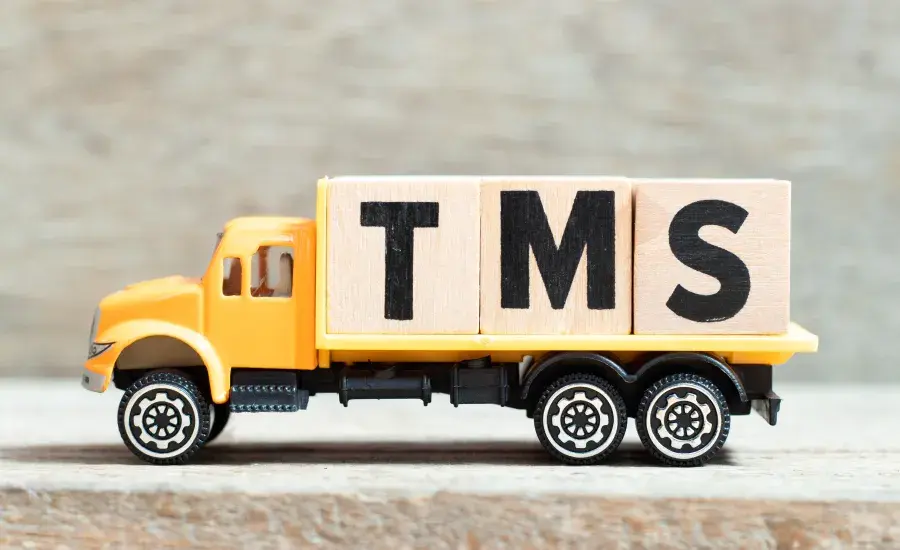TMS & trésorerie : quels gains pour le cash et la sécurité ?