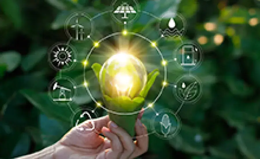 Sustainability-Linked Bond Principles - Voluntary Process Guidelines