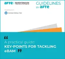 Guide eBAM en anglais : Key Points for tackling eBAM